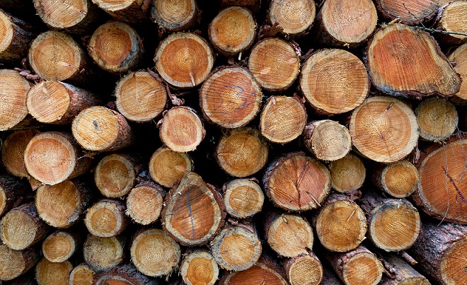 Drewno-kłody-ułożone-drewno-stos-drewna