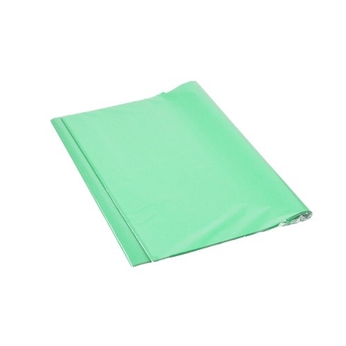 Bibuła Gładka 50x70cm Zielona - 50 arkuszy