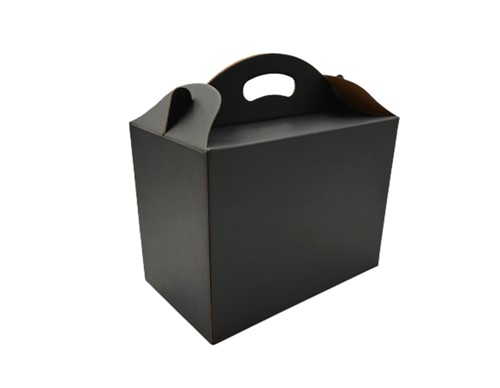 Pudełko z uchwytem 300x180x220mm czarne F217