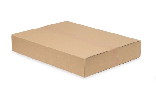 Karton Klapowy 450x350x70mm