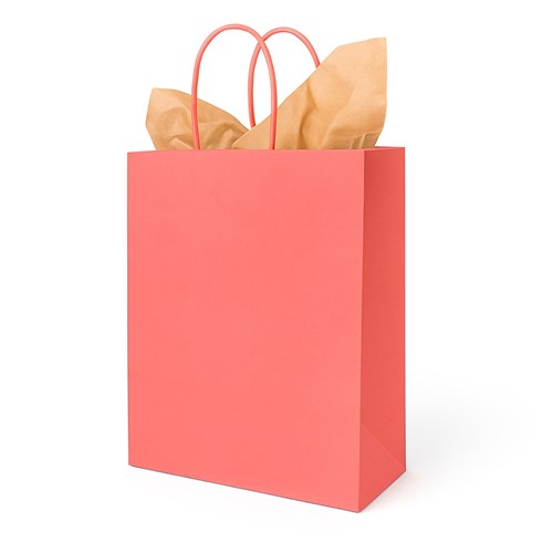 Torebka papierowa CORAL 230x120x300 mm z papierowym uchwytem – żywy kolor, klasyczna forma