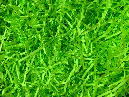 Wypełniacz papierowy PakPak Zielony NEON 0,2kg +BOX