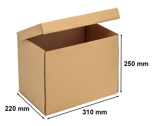 pudelko-kartonowe-a4-310x220x250-20szt.jpg
