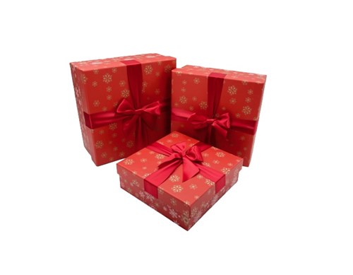 Zestaw Pudełek Prezentowych PUG-22149-KW (3 szt.)