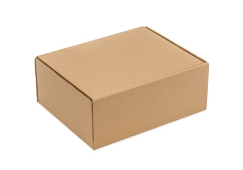 Karton wykrojnikowy 250x200x100mm Fefco 426