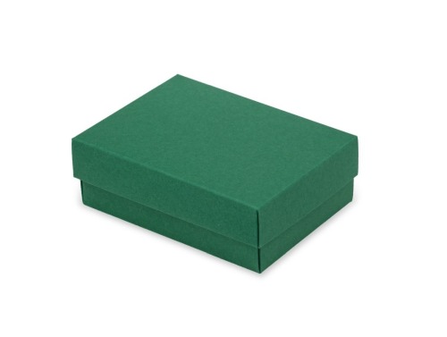 Opakowanie ozdobne L 255x160x75mm Zielone