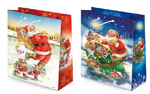 Zestaw torebek świątecznych 225x110x320mm 10 szt