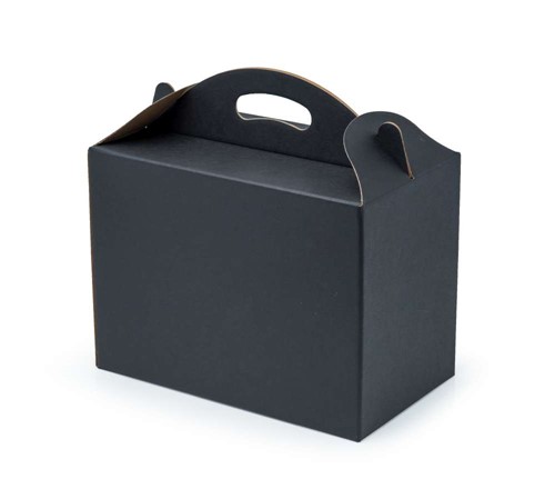 Pudełko z uchwytem 300x180x220mm czarne F217
