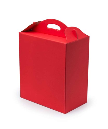 Pudełko z uchwytem czerwone 300x180x350mm F217