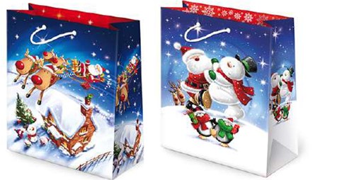 Torebki Świąteczne 10szt.