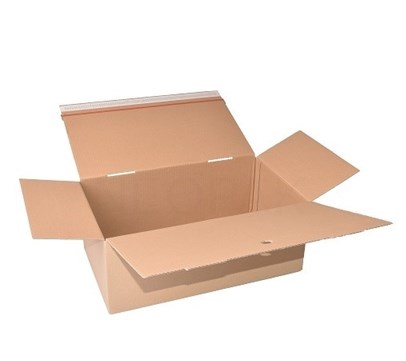 Pakiet - Karton wykr. 255x180x160mm - 100szt