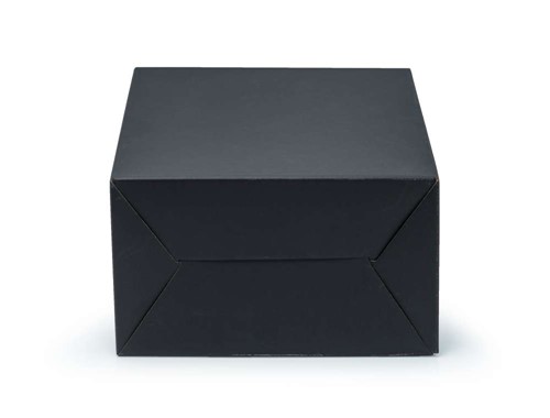 Pudełko z uchwytem 300x180x350mm czarne F217