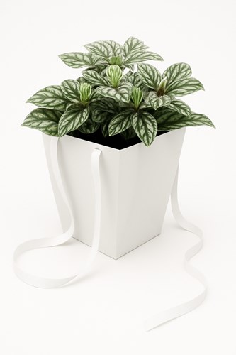 Ekskluzywna biała torba Prestige 125x125x180 / 165x165 mm – minimalistyczne opakowanie premium