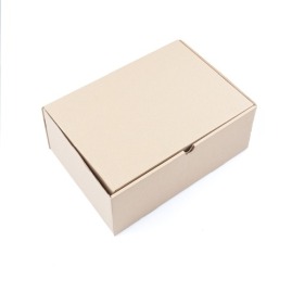 Karton wykrojnikowy 500x300x200mm Fefco 426