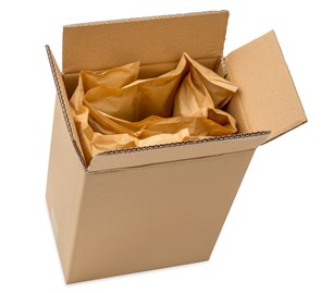 Karton klapowy 255x170x350mm BC580