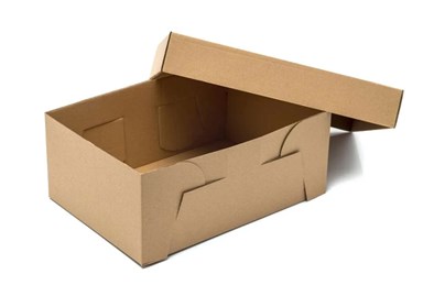 Karton wykrojnikowy pudełko na buty 320x220x130 mm 10 szt