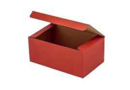 Karton wykrojnikowy 250x150x100mm F215 Czerwony