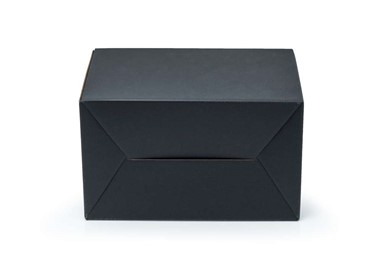 Pudełko z uchwytem 300x180x220mm czarne F217