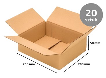 pudelko-kartonowe-250x200x50-klapowe-b320-20szt.jpg