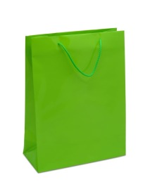 Torba Upominkowa Jasnozielona