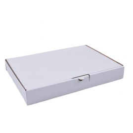 Karton Fasonowy 230x155x41mm - Biały