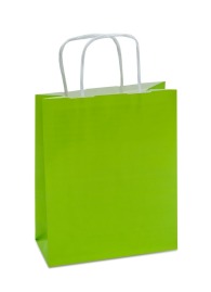 Torby Lakierowane Zielone