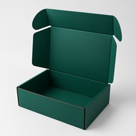 pudełko zielone, karton fasonowy, karton wykrojnikowy, F427 fala B, karton Pantone 3435C
