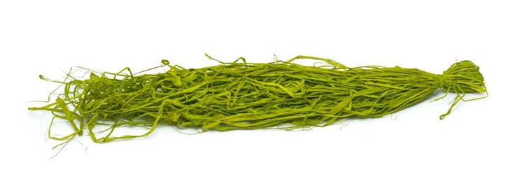 Rafia Naturalna Barwiona 50g Zielona jasna