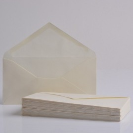 Koperty ozdobne DL Aqua Avorio 220x110mm 50szt