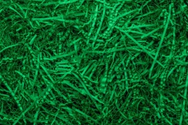 Wypełniacz papierowy PakPak Zielony Ciemny 0,2kg +BOX