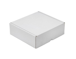 Karton wykrojnikowy 300x300x100mm F427 Biały