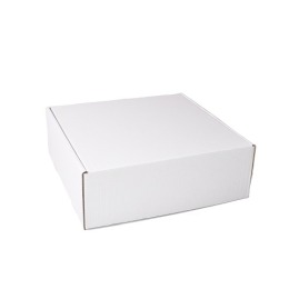Karton Wykrojnikowy 400x380x140mm Biały