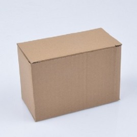 Karton Fasonowy 145x75x95mm