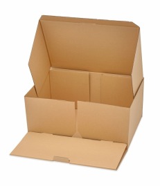 Karton wykrojnikowy 450x300x200mm Fefco 426