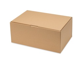 Karton wykrojnikowy 450x300x200mm Fefco 426