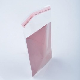 Woreczki celofanowe z klejem 20x30+5cm 100szt