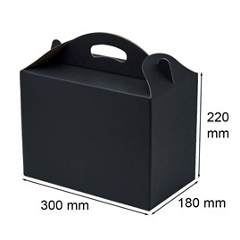 Pudełko z uchwytem 300x180x220mm czarne F217