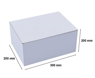 karton-wykrojnikowy-f215-300x200x200-bialy-20szt.jpg