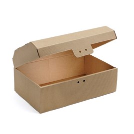 Karton Karbowany Kufer z Pokrywką 320x200x100 mm Eko Box