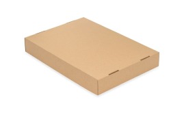 Karton wykrojnikowy 350x250x50mm F330 +POKRYWKA A4