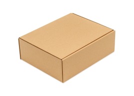 Karton wykrojnikowy 300x240x100mm Fefco 426