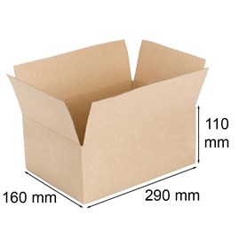 Karton klapowy 290x160x110mm