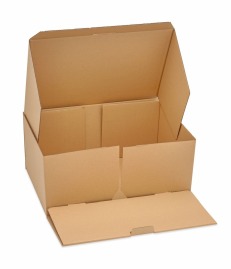 Karton wykrojnikowy 450x300x200mm Fefco 426