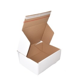 Karton wykrojnikowy biały 350x250x140mm F703