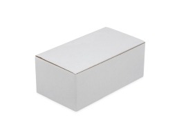 Karton wykrojnikowy 290x160x110mm biały