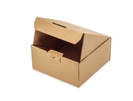 Karton wykrojnikowy 200x200x100mm Fefco 426