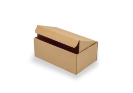 Karton wykrojnikowy 250x150x100mm Fefco 426