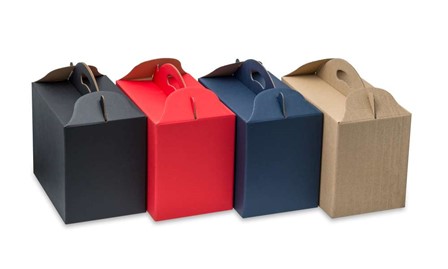 Pudełko z uchwytem 300x180x220 karbowane F217