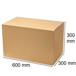 Karton klapowy 600x300x300mm