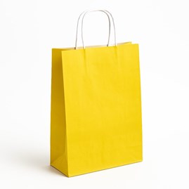 Zestaw 25 żółtych toreb papierowych ECOBAG o wymiarach 305 × 170 × 425 mm, pojemności 23 l, wykonanych z papieru 100 g/m², z dnem klockowym i uchwytam